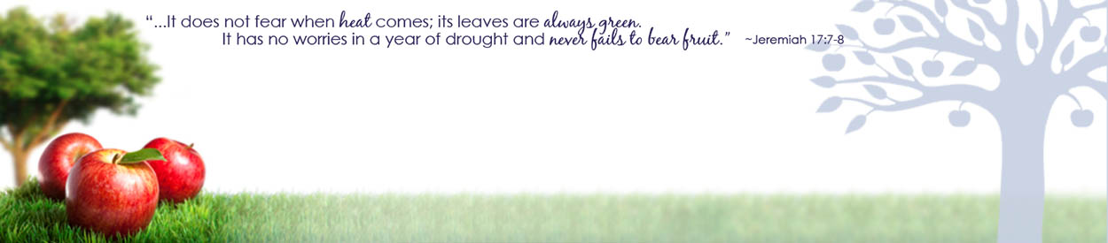 Untitled Header Image