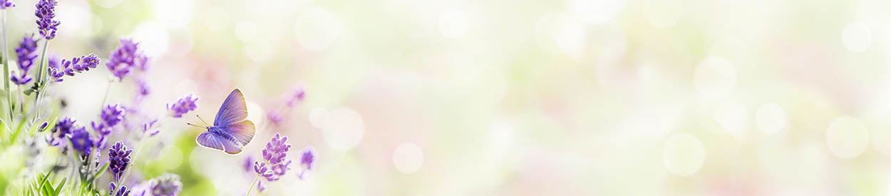 Please Be Patient as we Update our site.